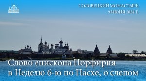 Слово епископа Порфирия в Неделю 6-ю по Пасхе о слепом, 2024 г.