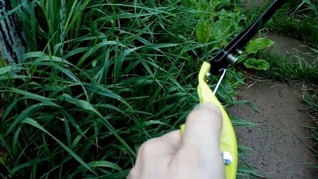 #сад_и_огород #садовый_инструмент Уникальный товар из Китая! Тест садовых ножниц - стрижем траву. смотреть онлайн
