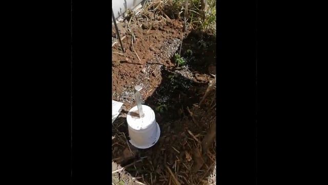 Высаживаю ФЛОКСЫ, АСТРЫ, ЛИЛИЮ/Сею космею и гвоздику/Вскопала грядку и посадила лук🏡 серия 7 👨👩👧 смотреть онлайн