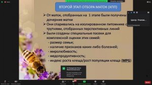 Дальневосточная пчела.  Доклад Ильин А.С.