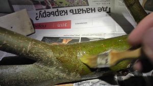 Крючки для одежды из дерева своими руками