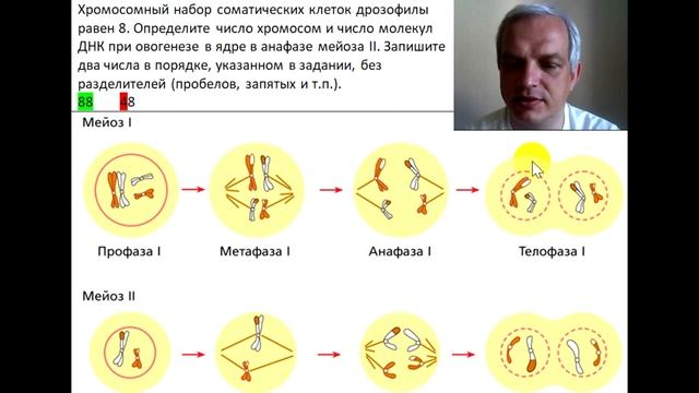 Видео-объяснение для Биоробота