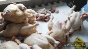 ВИРТУОЗНАЯ Ощипка и разделка бройлеров