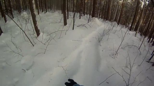 Учебное пособие для езды по лесу смотреть онлайн