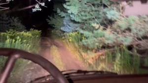 ПСГ «Рысь-Саров» очередные удачные поиски.