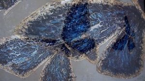 Картина для Интерьера / Акриловые краски / Текстурная паста