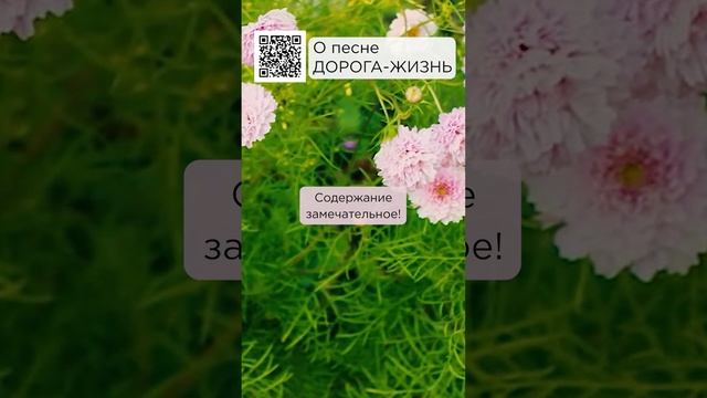 Замечательная песня! Наталья, г. Екатеринбург #сказочныймир #милоеотечество #дорогажизнь