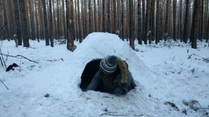 Как построить иглу / дом из снега своими рукам / снежная пещера / квинзи