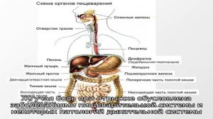 Жжение в грудине посередине, слева. Причины у женщин, если тяжело дышать, отрыжка. Что это может б.