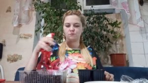 посадка проросших семян пепино в землю