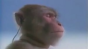 ПУКИ ? ПУКИ ? В МАГНИТЕ ? ХАЙПУКИ ? ТАКАН ? ПОКАТУН ? ПЕЙ ПЕЙ ? НЯМА-НЯМА ? БУЛЬБУКА ?ЛЕДЮК ? МАЗЮК