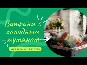 Обзор витрины для зелени с увлажнением