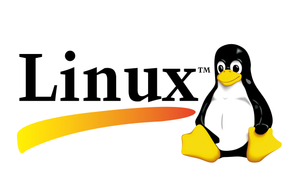 Горячие клавиши в терминале Linux.