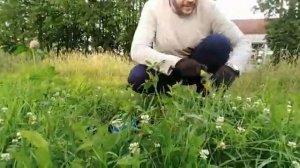 Эксперимент: Горит или не горит бензин "Калоша"?
