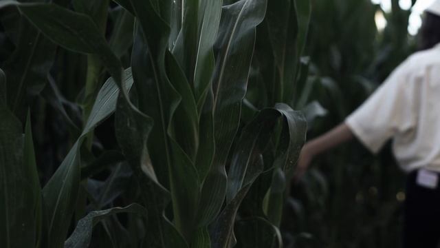 Как помочь себе, когда совсем все непонятно.mp4 смотреть онлайн