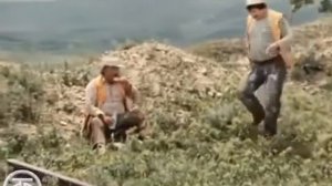 Сколько весит рельса?)