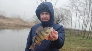 Crazy Fish NANO ONE CARBON , ОКУНЬ, ЩУПАКИ НА МИКРУХУ