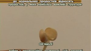 «Методи визначення якості насіння сільськогосподарських культур згідно з новими стандартами»