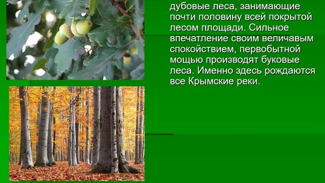 охрана природы родного края
