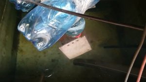 Шок!Солнечная панель дает бесплатный ВОДОРОД прямо под корень растений.Экологическое Земледелие