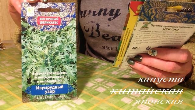 Аптечка садовода. Препараты от вредителей и болезней.