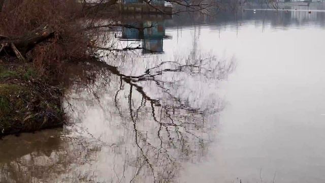 Туманный день у воды смотреть онлайн
