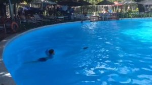 Парк Горького Вьетнам Нячанг