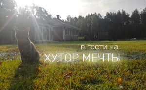 УЮТНЫЙ GREEN HOOTOR В ЛЕСУ \ ОБЗОР и РУМ ТУР \ ЖИЗНЬ В ДЕРЕВНЕ БЕЛАРУСЬ