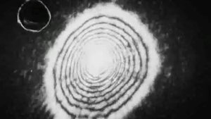 Жидкие кристаллы, Союзвузфильм, 1986