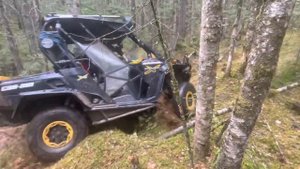 ручей Желанный, июнь 2021