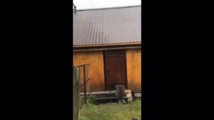 Установка водостоков своими руками фирмы Технониколь