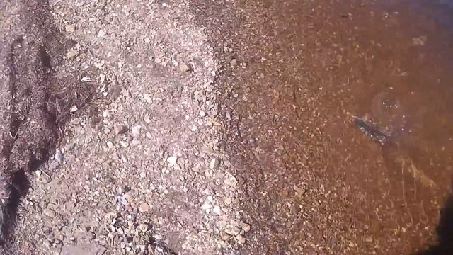 Рыбалка на острове Сахалин , устье реки Шишкевича смотреть онлайн