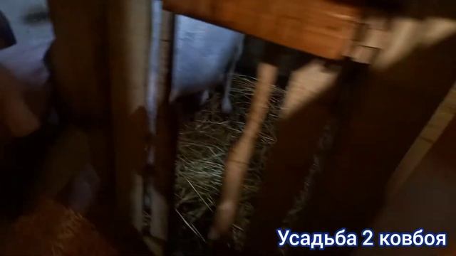 Как наши козьи дела?