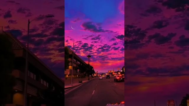 Жалко что это нейросеть( смотреть онлайн