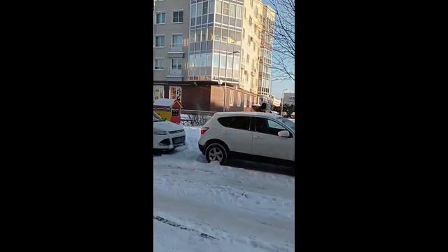 ЖК Новая Скандинавия