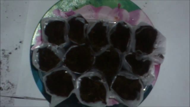 Как сэкономить место при посадке рассады! смотреть онлайн