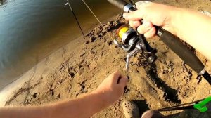 ДИКИЕ САЗАНЫ БЬЮТ РЕКОРДЫ!!! Рыбалка на Ахтубе Лето 2021. Полное видео на канале  "Добыть Трофей"