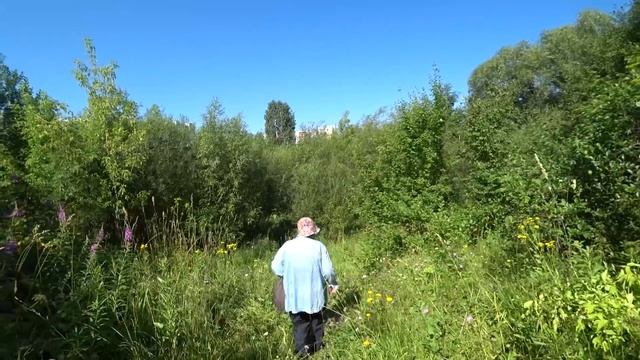 В лог в заброшенные сады 22 июля 2022 смотреть онлайн