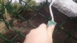 сітка рабиця красим скоро і якісно 1