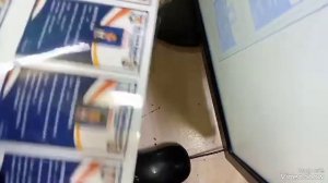 ID card printing with Epson L8180