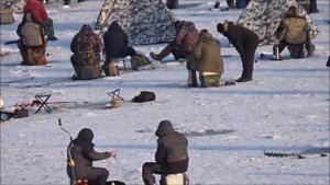 Куча рыбаков на льду в устье реки Гайва