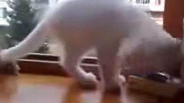 Рука, не бойся, я тебя спасу!!! смотреть онлайн