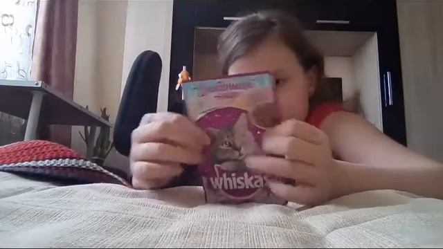 Обзор На Корм Whiskas Хороший? Или Плохой? смотреть онлайн