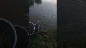 Рыбалка в хадыженске