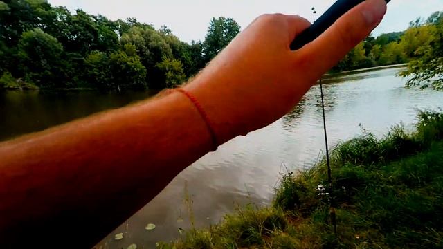 Ловля карпа.Тест снасти макух + горох. [Отчеты о рыбалке] смотреть онлайн