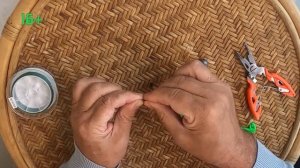 Лучшая фидерная оснастка с 2 крючками на леща и плотву