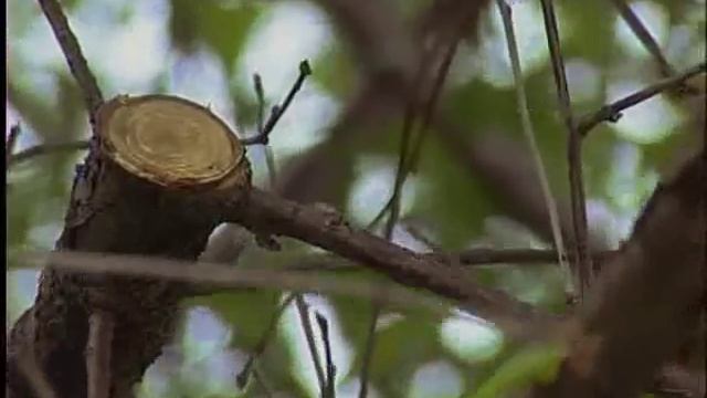 ИНСТРУМЕНТ FISKARS смотреть онлайн