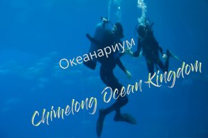 Океанариум в парке CHIMELONG OCEAN KINGDOM . Самый большой океанариум в мире. Китай.