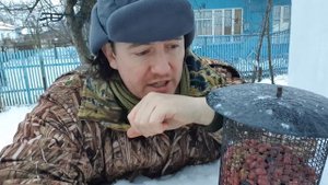 Сетчатая кормушка для птиц – размер ячейки
