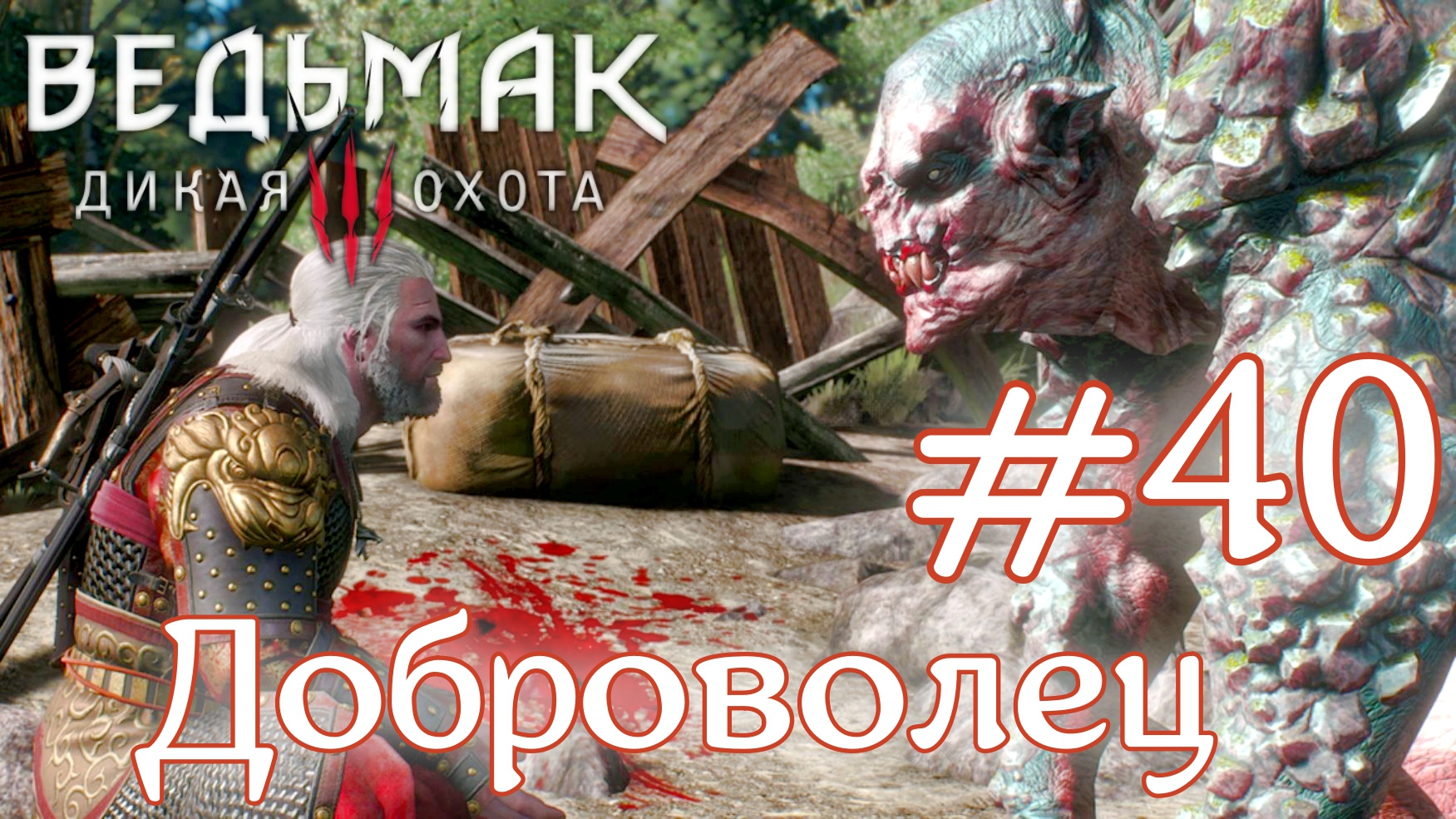 Доброволец • Ведьмак 3: Дикая Охота • Новая игра + • На смерть#40